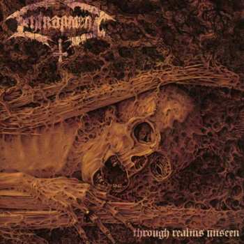 CD Entrapment: Through Realms Unseen