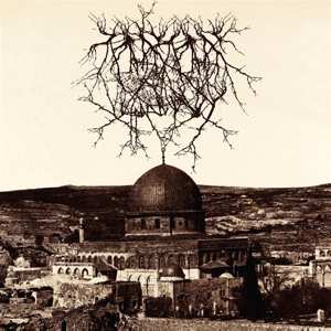 LP Entropy Created Consciousness: Impressions Of The Morning Star LTD