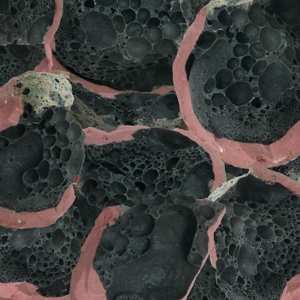 CD Eric Chenaux: Say Laura