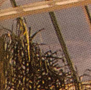 CD Errors: Have Some Faith In Magic