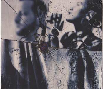 CD Evanescence: The Bitter Truth