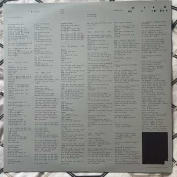 LP Everything Everything: Raw Data Feel LTD | CLR