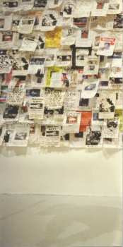 CD Evidence: Cats & Dogs