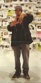 CD Evidence: Cats & Dogs