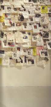 CD Evidence: Cats & Dogs