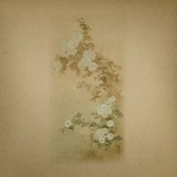 LP Ezra Feinberg & Jo...: Ezra Feinberg & John Kolodij