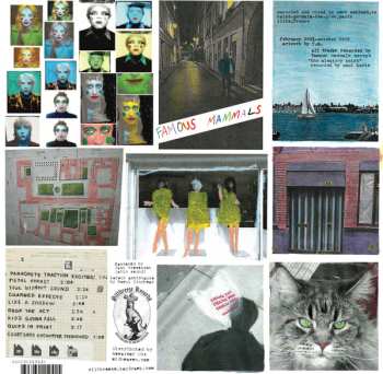 LP Famous Mammals: Instant Pop Expressionism Now!