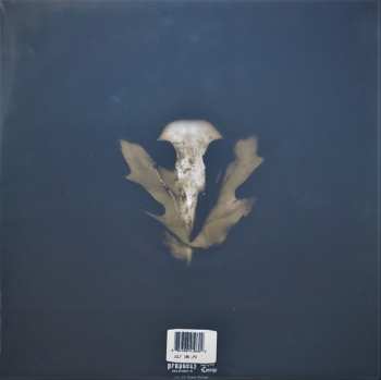 2LP Fauna: Avifauna LTD | CLR