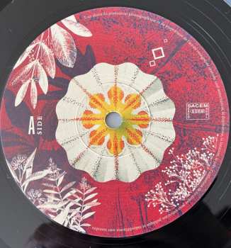 LP Faygo: Blooming Part One