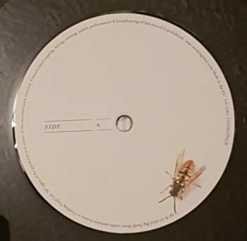 2LP Feeder: All Bright Electric LTD | CLR