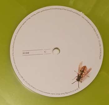 2LP Feeder: All Bright Electric LTD | CLR