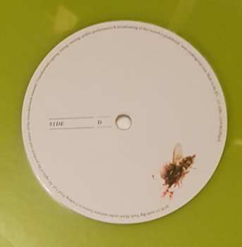 2LP Feeder: All Bright Electric LTD | CLR