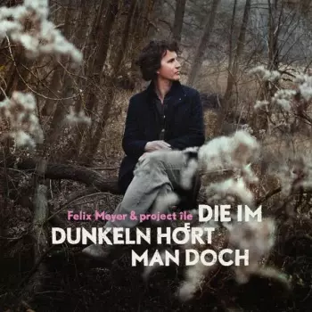 Felix Meyer & Project Île: Die Im Dunkeln Hört Man Doch