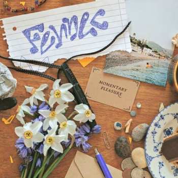 CD Fennec: Momentary Pleasure