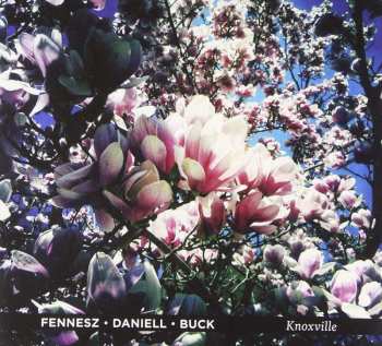 CD Fennesz: Knoxville LTD