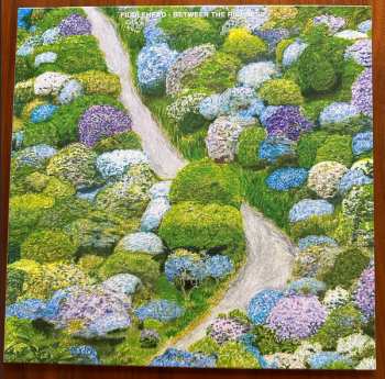 LP Fiddlehead: Between the Richness