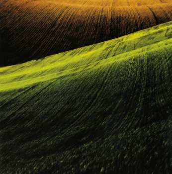 CD Fields: Contrasts Urban Roar To Country Peace