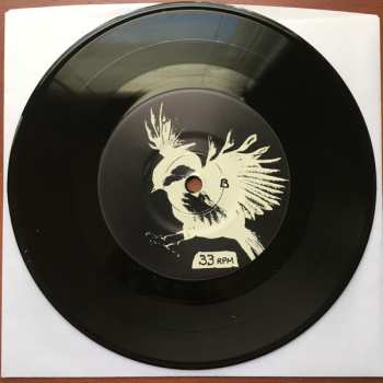 SP Fifteen: Fifteen.