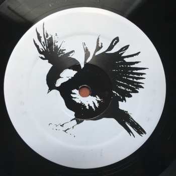 LP Fifteen: Swain's First Bike Ride