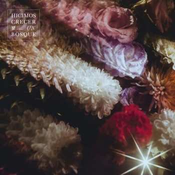 Album Fin del Mundo: Hicimos Crecer Un Bosque