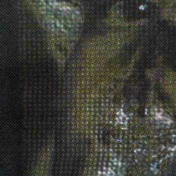 CD Final Resting Place: Bound By Affliction