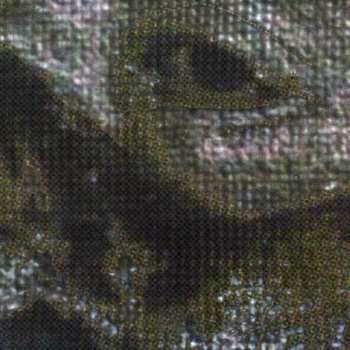 CD Final Resting Place: Bound By Affliction