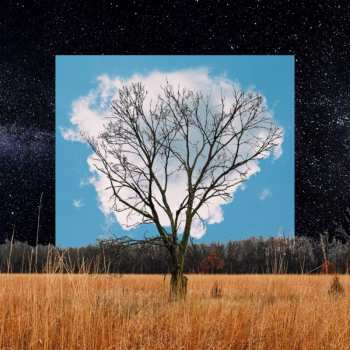 Album Fink: Bloom Innocent