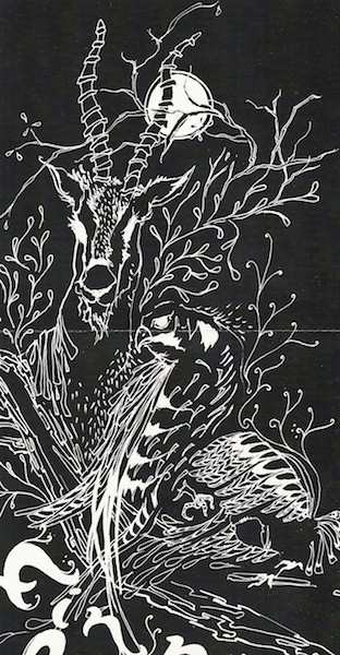 CD Finn Riggins: Vs. Wilderness LTD