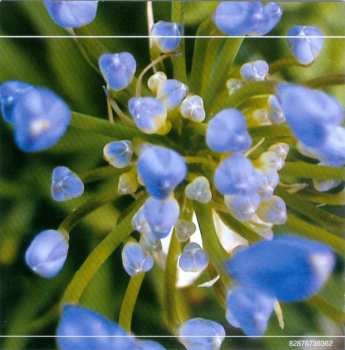 CD Fiona Apple: Extraordinary Machine