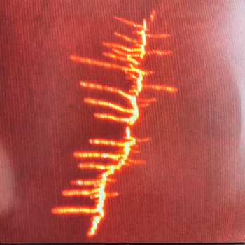 LP Adrian Sherwood: Fire LTD | CLR