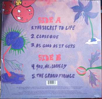 LP FIZZ: The Secret To Life - Live At Middle Farm Studios