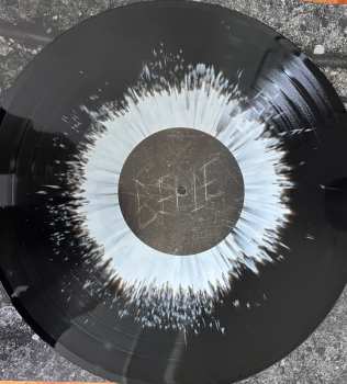 LP FJØRT: Belle Epoque CLR | LTD