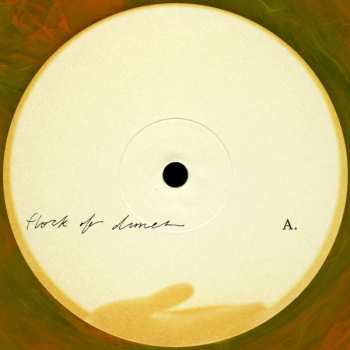 2LP Flock Of Dimes: The Life You Save CLR | LTD