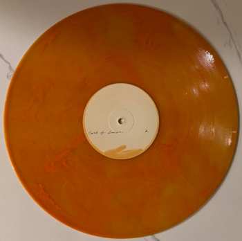 2LP Flock Of Dimes: The Life You Save CLR | LTD