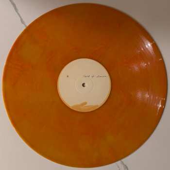 2LP Flock Of Dimes: The Life You Save CLR | LTD