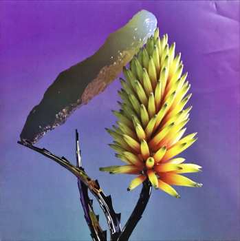 2LP Flume: Skin CLR | LTD