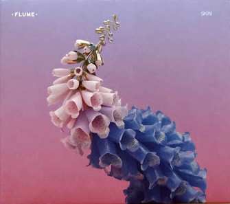 CD Flume: Skin