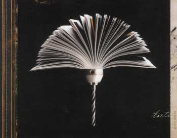 CD Foo Fighters: Echoes, Silence, Patience & Grace