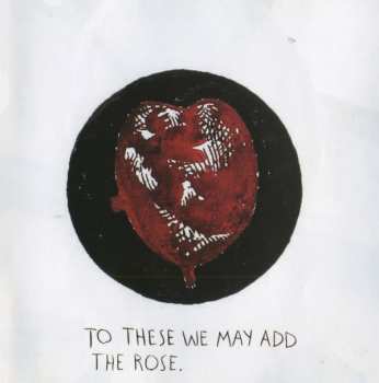 CD Foo Fighters: One By One