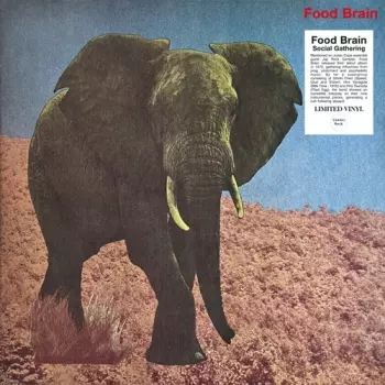 Food Brain: Social Gathering = 晩餐