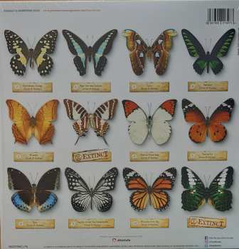 LP Bruce Foxton: The Butterfly Effect