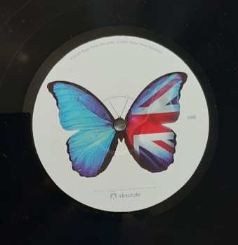 LP Bruce Foxton: The Butterfly Effect