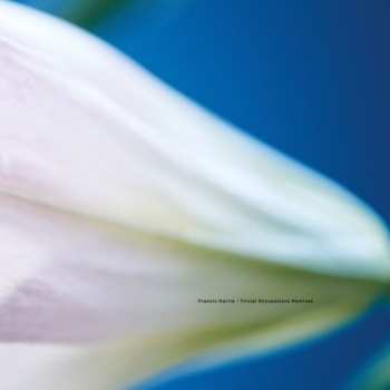 Album Francis Harris: Trivial Occupations Remixes