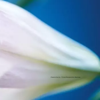 Trivial Occupations Remixes