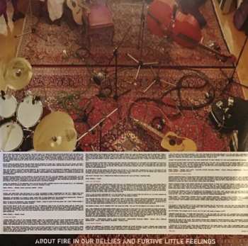 LP Frank Turner: Love Ire & Song  LTD