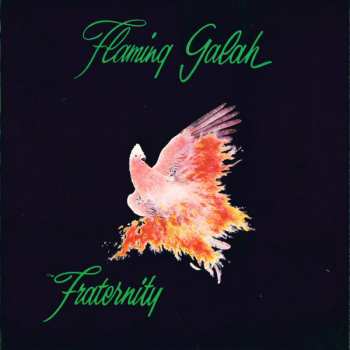 3CD/Box Set Fraternity: Seasons Of Change (The Complete Recordings 1970-1974)