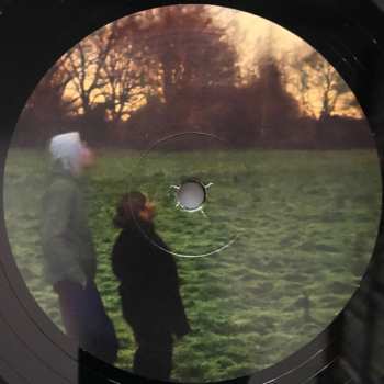 LP Brian Eno: Secret Life