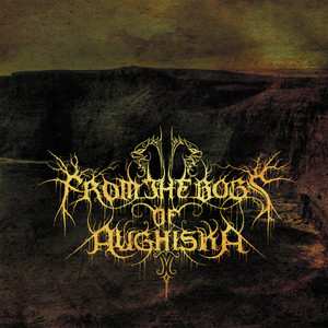 Album From The Bogs Of Aughiska: From The Bogs Of Aughiska