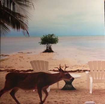 LP Fruit Bats: Gold Past Life