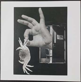 LP Future Prawn: A Day At Promenade LTD | CLR